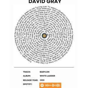 David Gray - Babylon