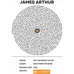 James Arthur - Say you wont let go