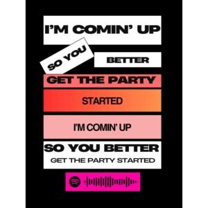 Pink - Get the party started