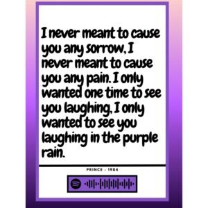 Prince - Purple rain
