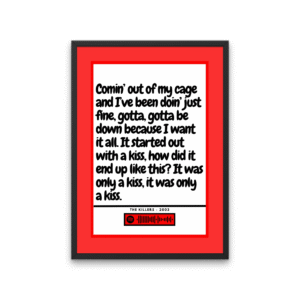 The Killers  Mr Brightside