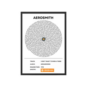 Aerosmith - I dont want to miss a thing