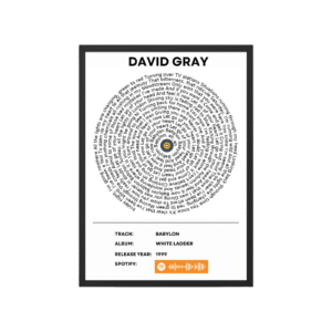 David Gray - Babylon